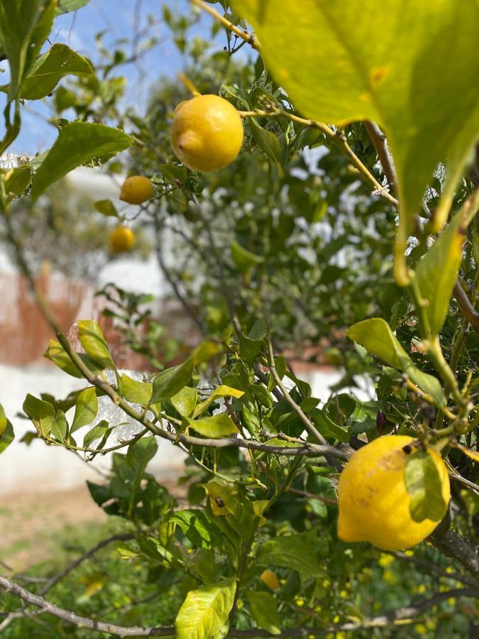 Finca Las Fuentezuelas Carataunas المظهر الخارجي الصورة